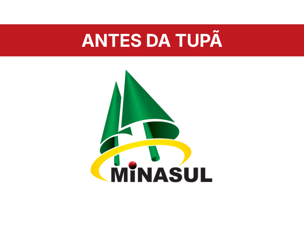 Minasul — antes